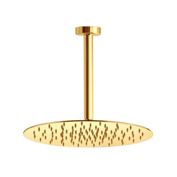 Верхний душ Webert AC0944010, золото. Фото 1