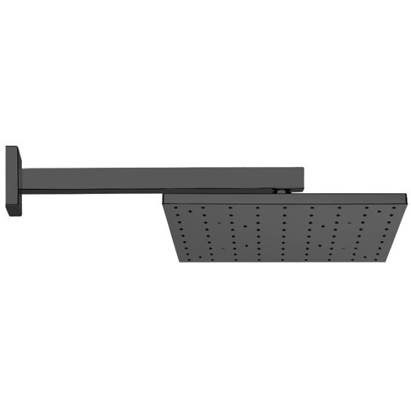 Верхний душ Webert Comfort AC0392560METAL, черный. Фото 1