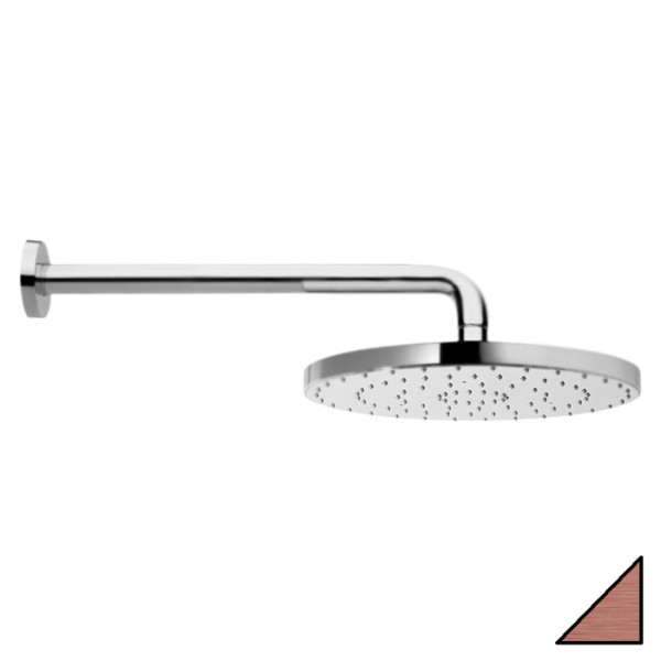 Верхний душ Webert Comfort AC0398980METAL. Фото 1