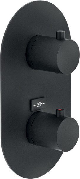 WE00102/TBM LIVE термостатический смеситель для ванны (внешняя часть), матовый черный. Фото 1